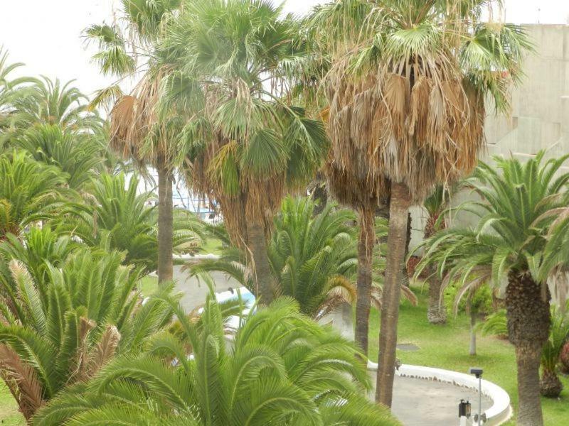 Appartement Beach-front Tenerife Sth Sea And Pool View Costa Del Silencio